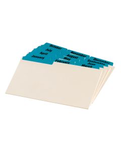 【miladyページ】0W1リフィル✖️3 Manila Dividers - Dividers - Index Cards