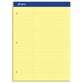 Narrow Ruled 20-346 Size 8.5 x 11.75 Inches Ampad Double Sheet Writing Pads 100 Sheets Per Pad White Paper 