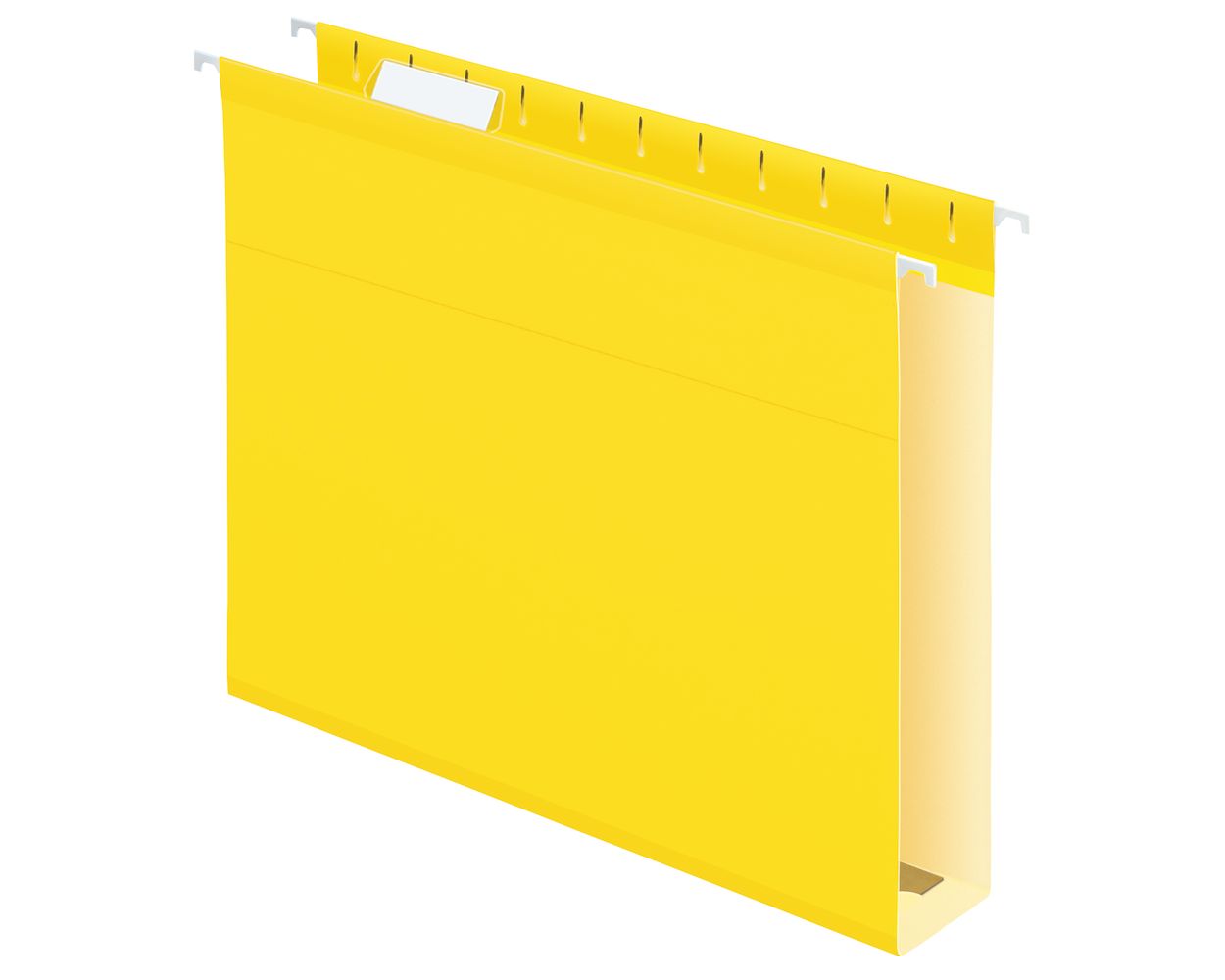Pendaflex Extra Capacity Reinforced Hanging Folders, 2