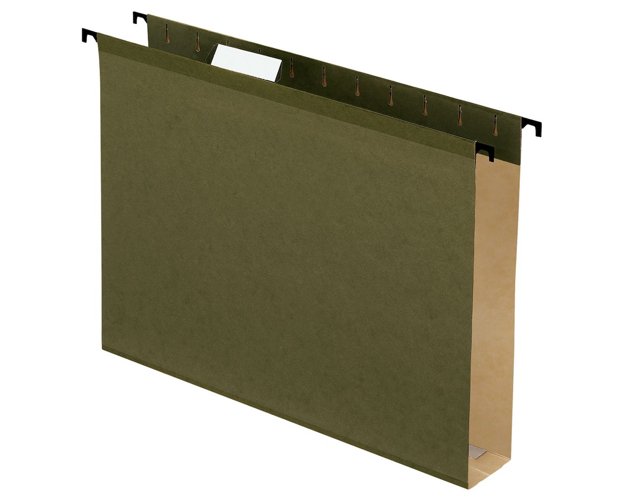 Pendaflex SureHook Reinforced Extra Capacity Hanging Folders, Letter ...