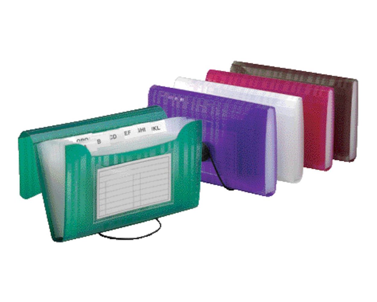 CLine 13Pocket Expanding File