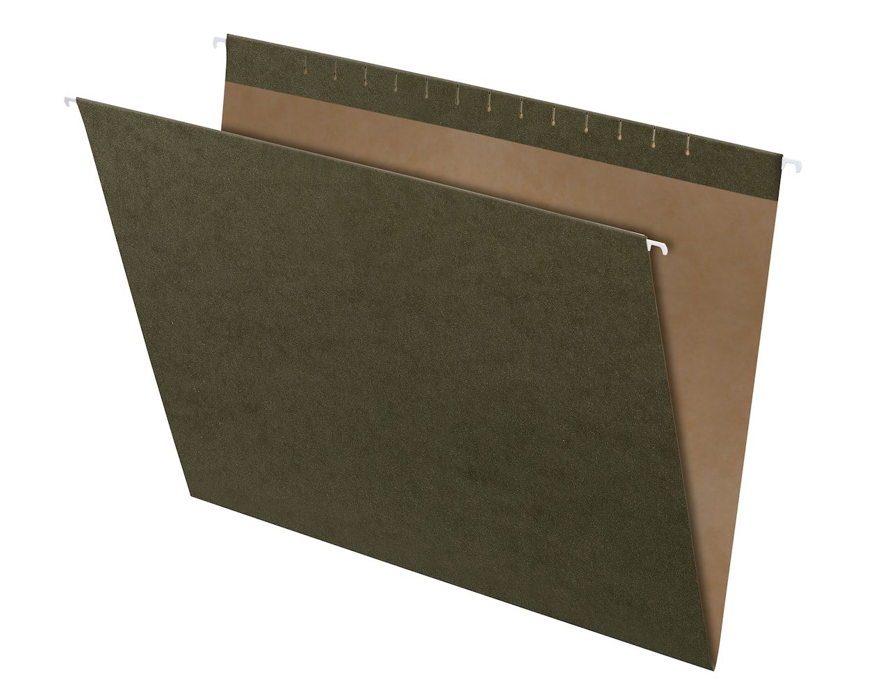 Pendaflex X-Ray Hanging Folders, Standard Green